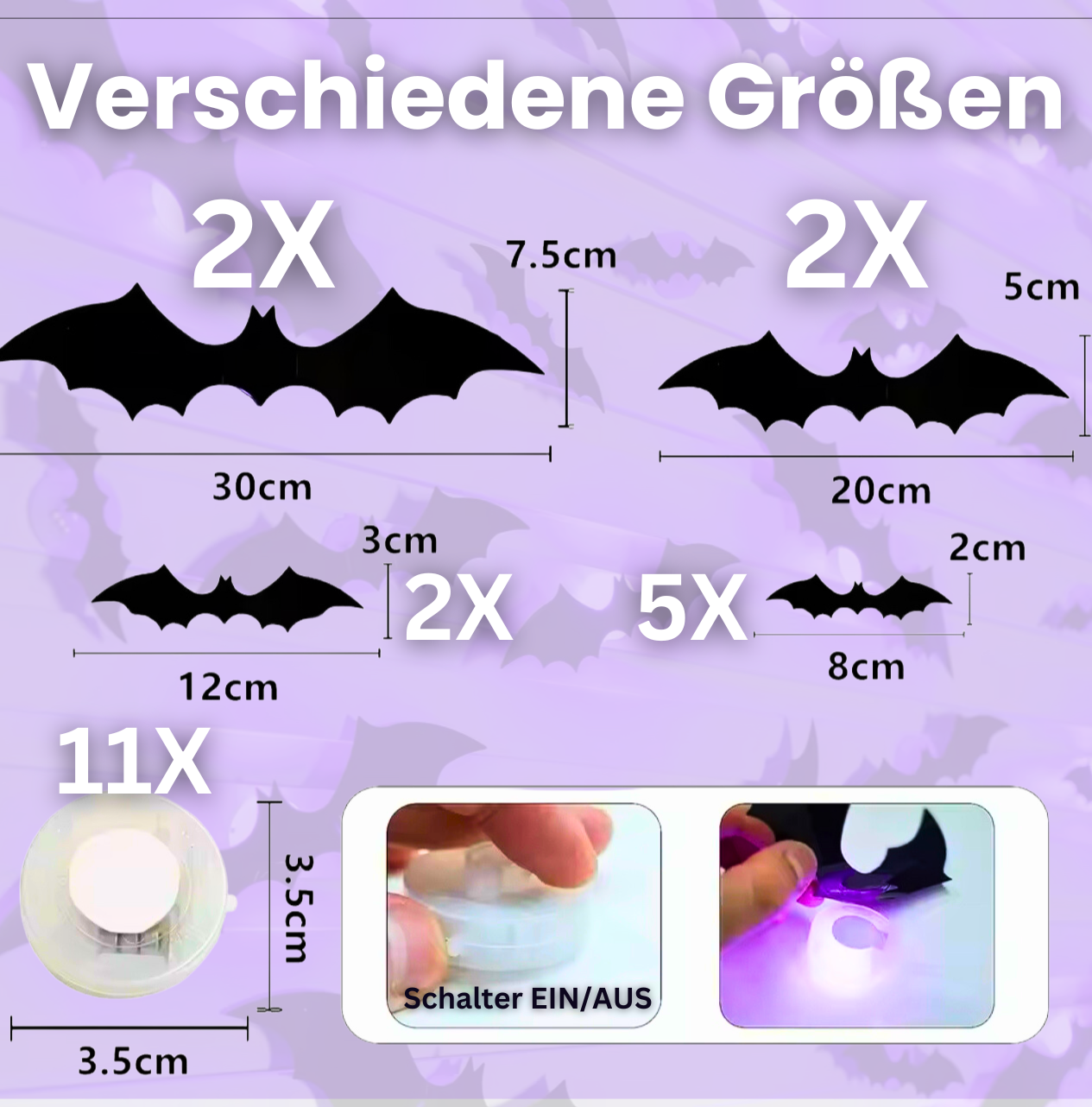 Batlight - Fledermäuse die begeistern!