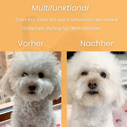 PetDry Pro - Bürste und Fön in 1