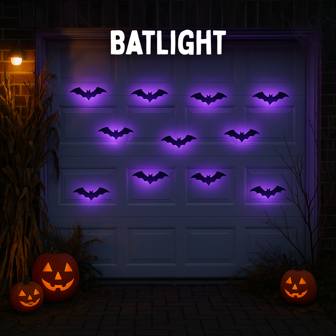 Batlight - Fledermäuse die begeistern!