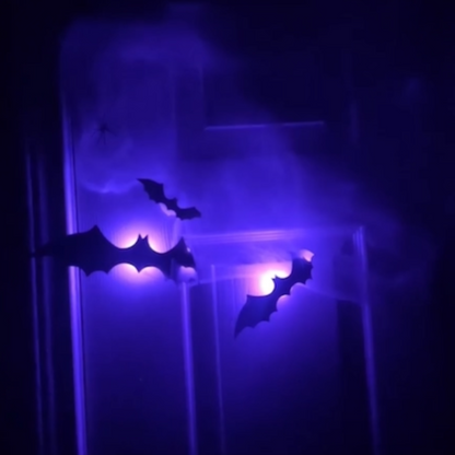 Batlight - Fledermäuse die begeistern!