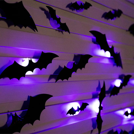 Batlight - Fledermäuse die begeistern!