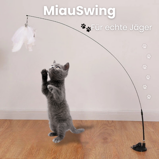 MiauSwing - für dein Stubentiger