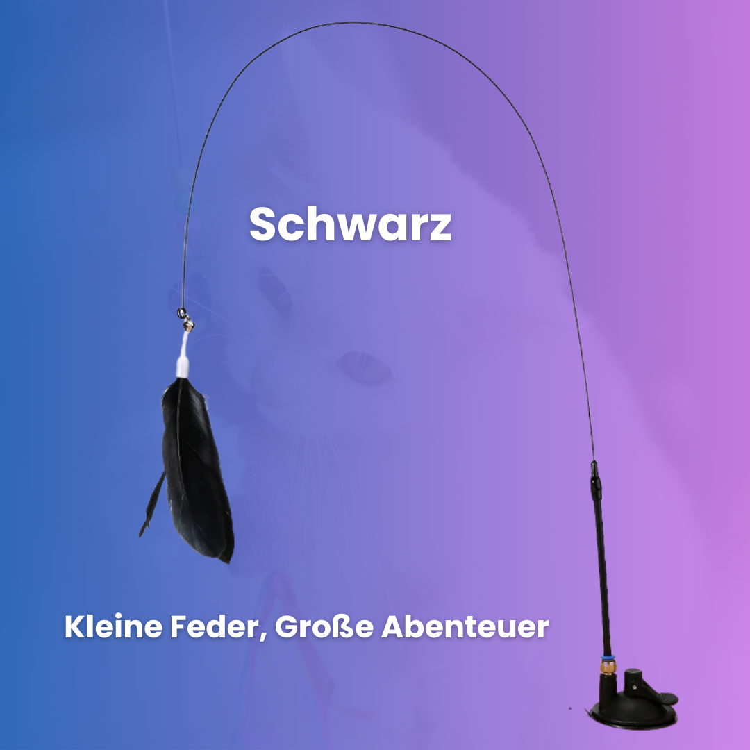 MiauSwing - für dein Stubentiger