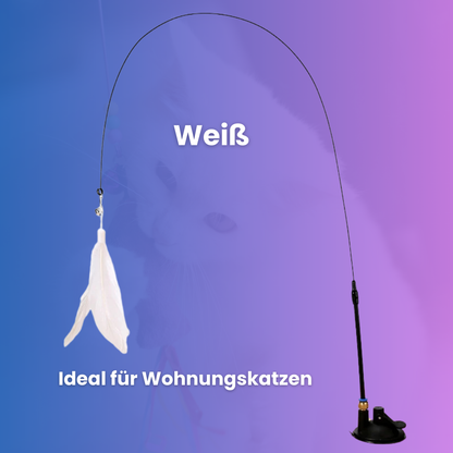 MiauSwing - für dein Stubentiger