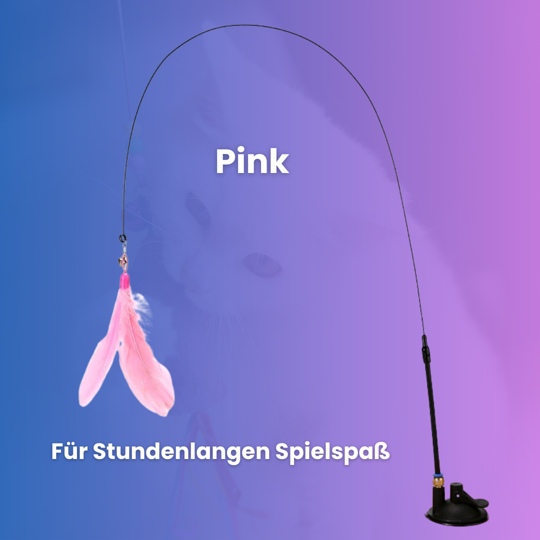 MiauSwing - für dein Stubentiger