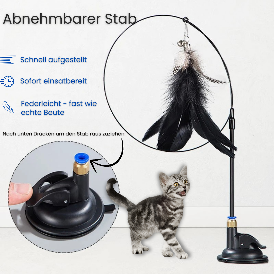 MiauSwing - für dein Stubentiger